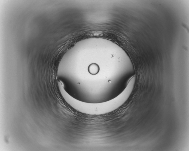 X0000099401442200805291200