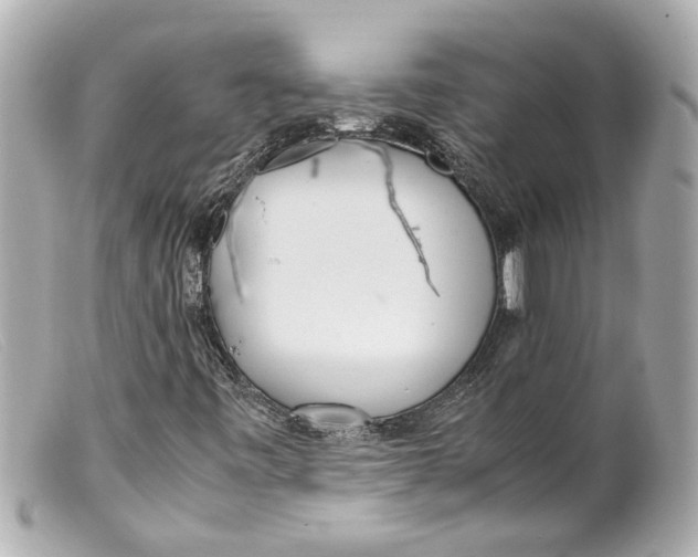 X0000099401443200805291200