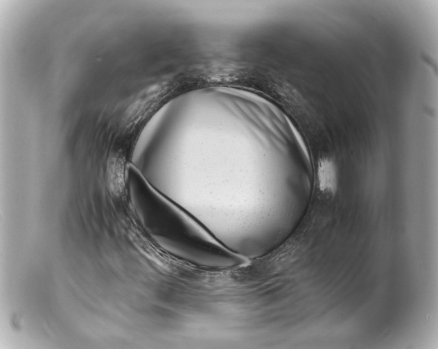 X0000099401444200805291200