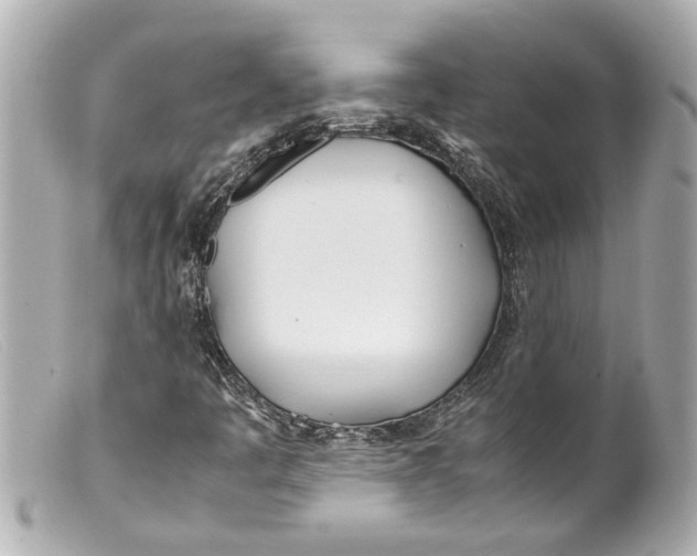 X0000099401445200805291200