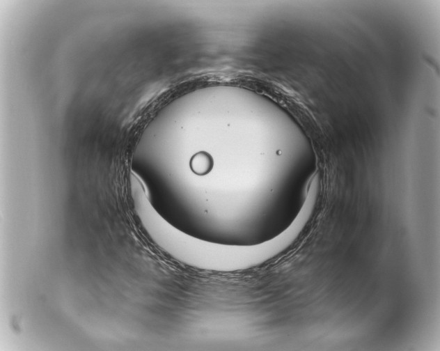 X0000099401446200805291200