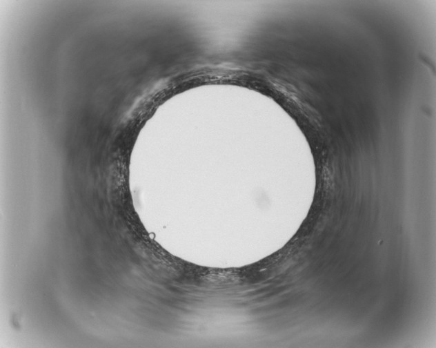 X0000099401447200805291200