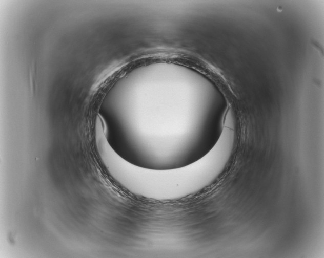 X0000099401448200805291200