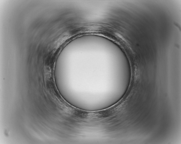 X0000099401449200805291200