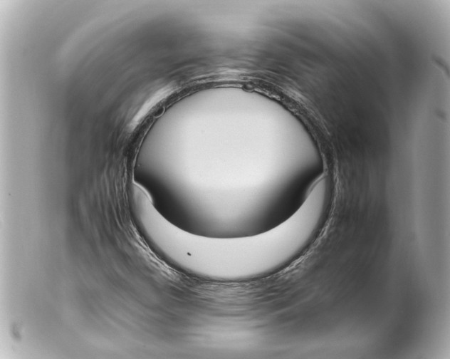 X0000099401450200805291200