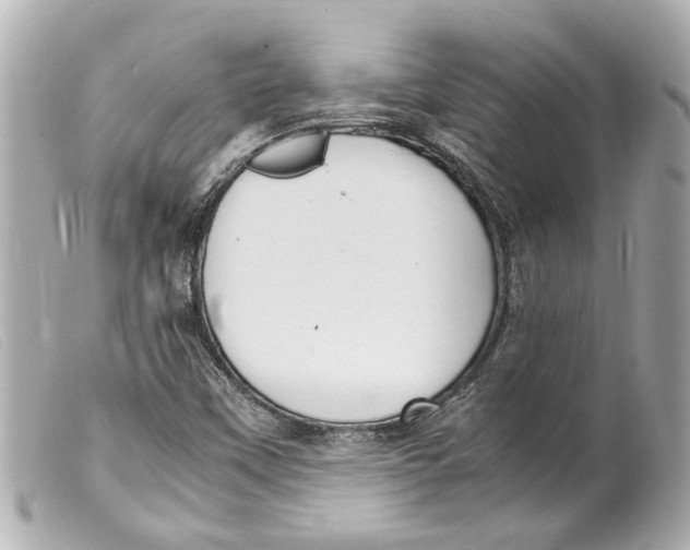 X0000099401451200805291200