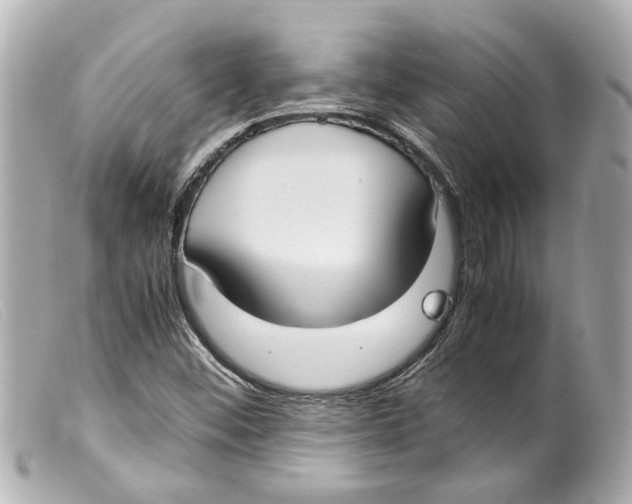 X0000099401452200805291200