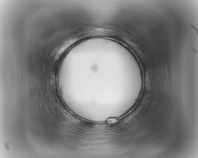 X0000099401453200805291200