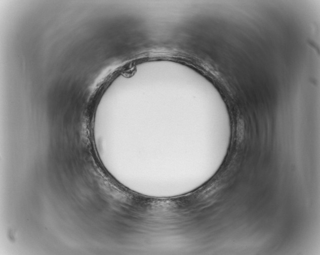 X0000099401454200805291200