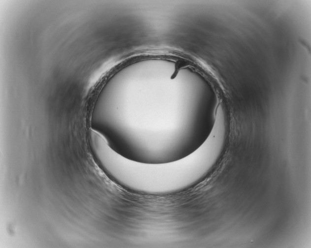 X0000099401456200805291200