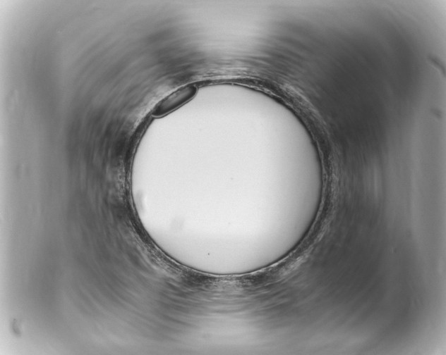 X0000099401457200805291200