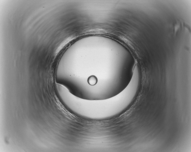 X0000099401458200805291200