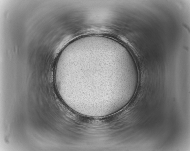 X0000099401459200805291200