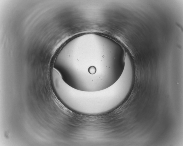 X0000099401460200805291200