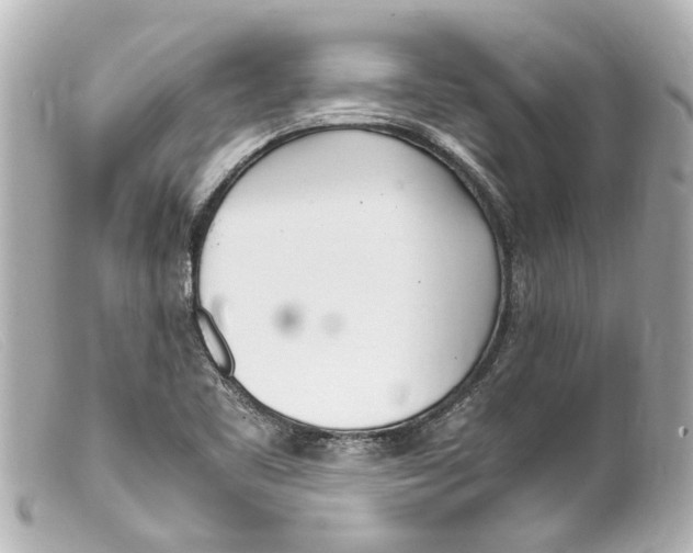 X0000099401461200805291200