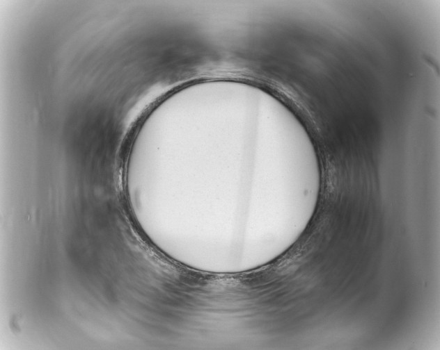 X0000099401462200805291200