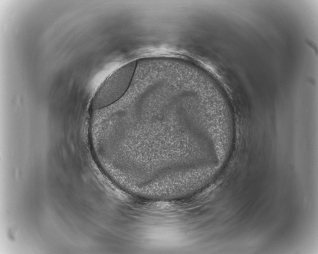 X0000099401463200805291200