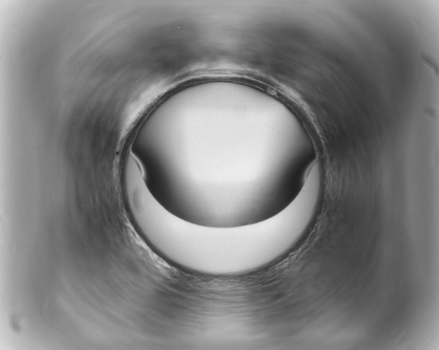 X0000099401464200805291200