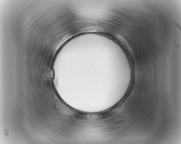 X0000099401465200805291200