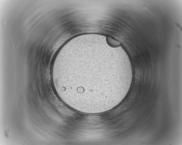 X0000099401466200805291200