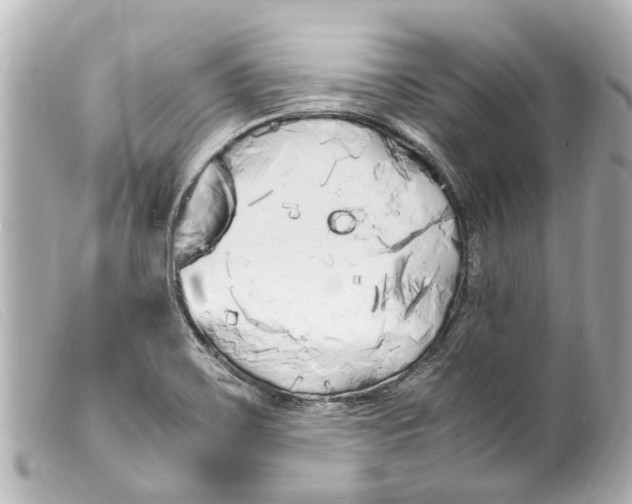 X0000099401467200805291200