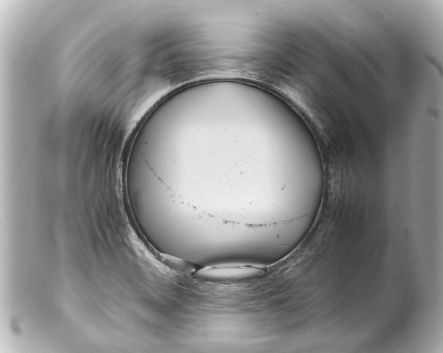 X0000099401468200805291200