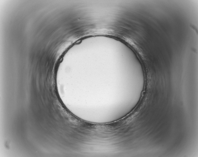 X0000099401469200805291200