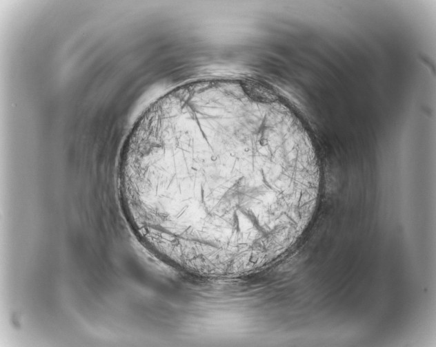 X0000099401471200805291200