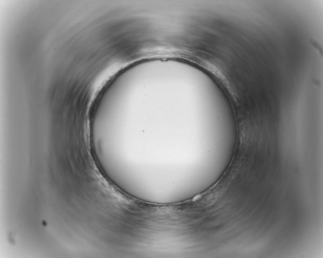 X0000099401472200805291200