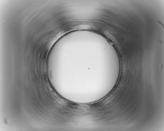 X0000099401473200805291200