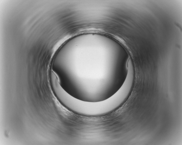 X0000099401474200805291200