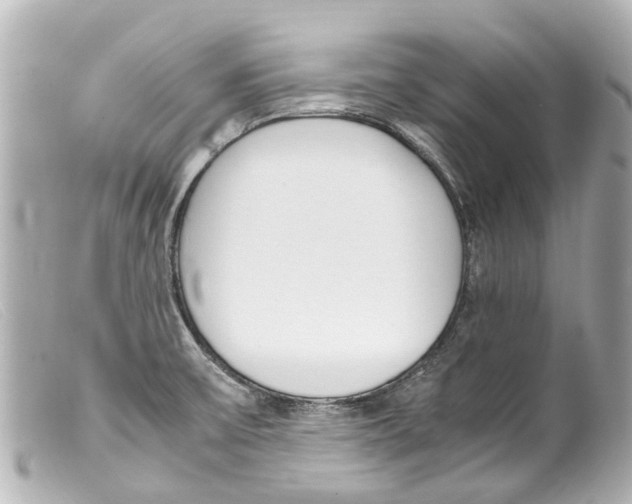 X0000099401475200805291200