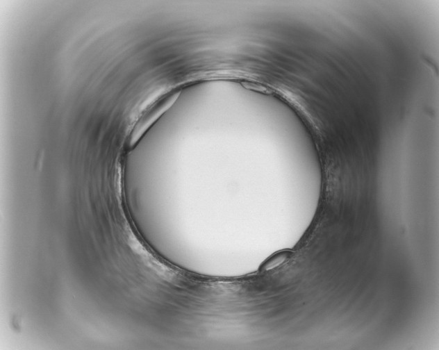 X0000099401476200805291159