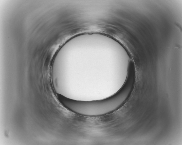 X0000099401477200805291159