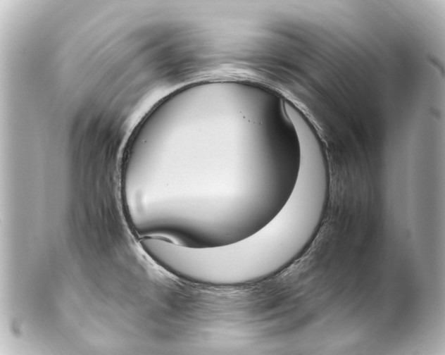 X0000099401478200805291159