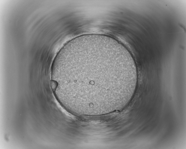 X0000099401479200805291159