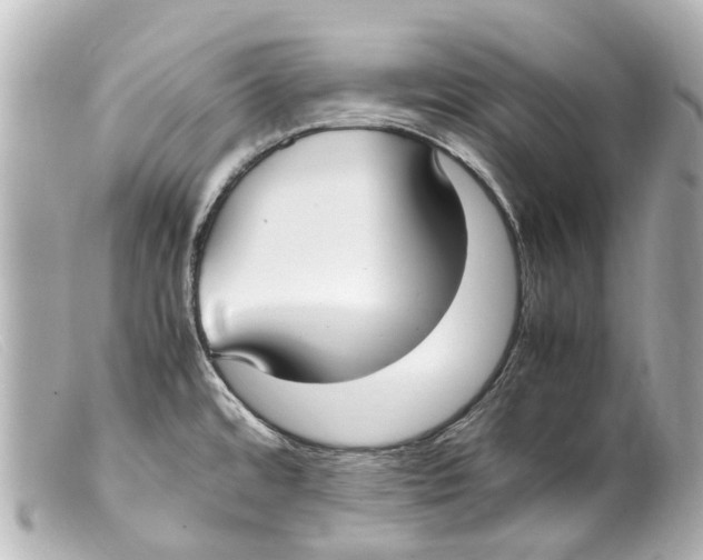 X0000099401480200805291159