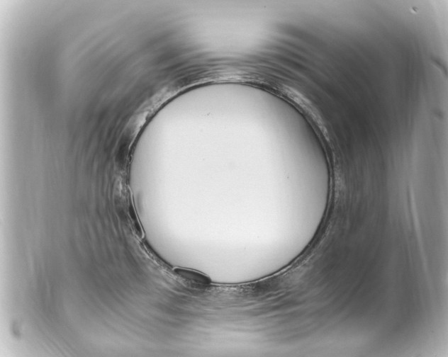 X0000099401481200805291159