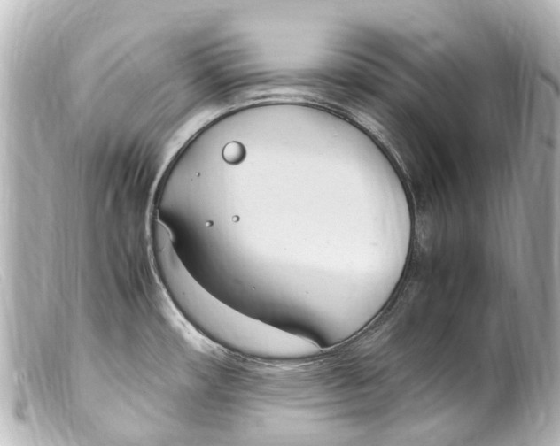 X0000099401482200805291159