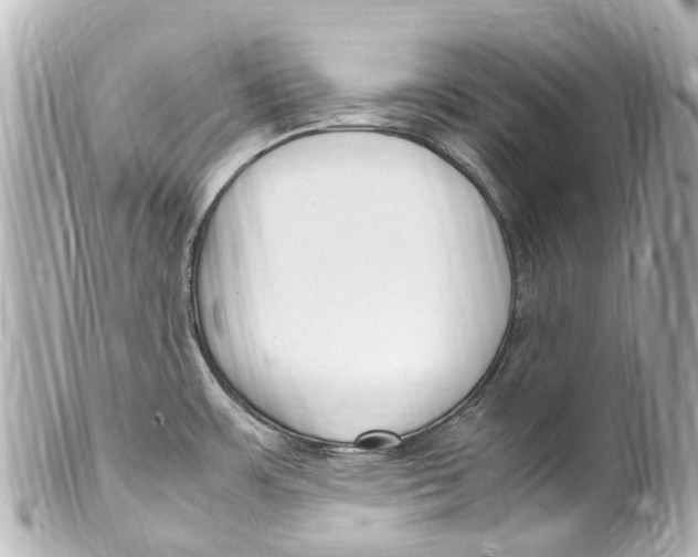 X0000099401483200805291159