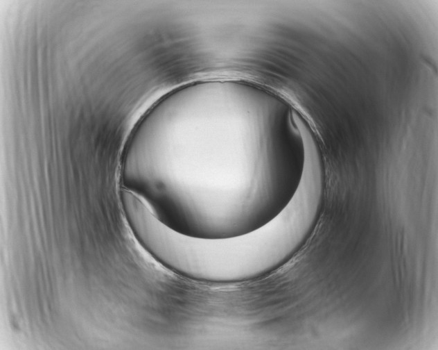 X0000099401484200805291159