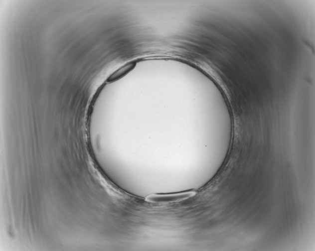 X0000099401485200805291159