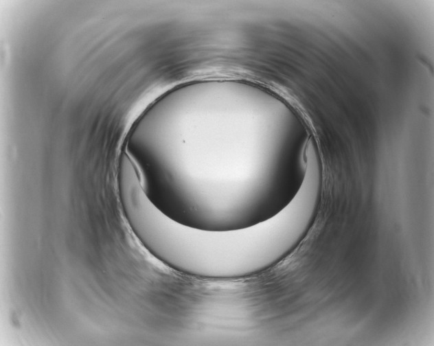 X0000099401486200805291159