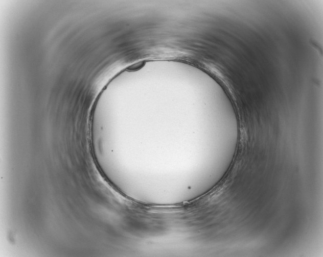 X0000099401487200805291159