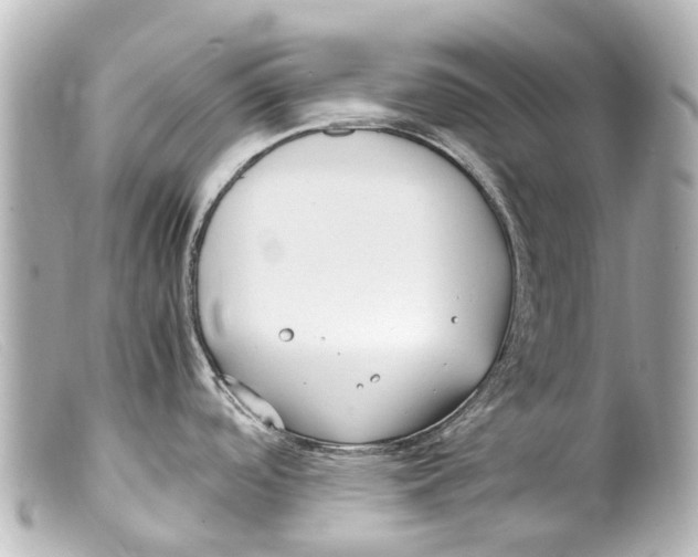 X0000099401488200805291159