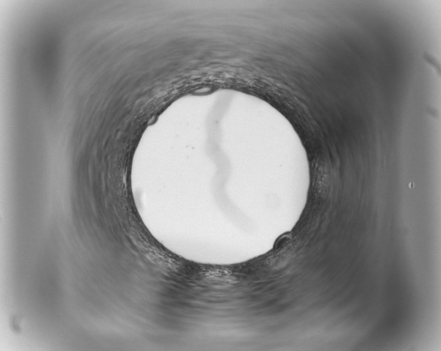 X0000099401489200805291159