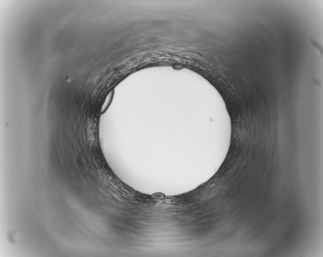 X0000099401490200805291159