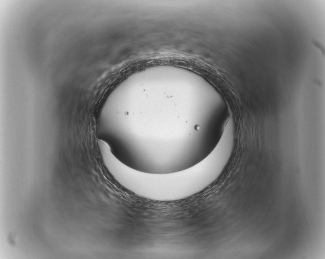 X0000099401493200805291159