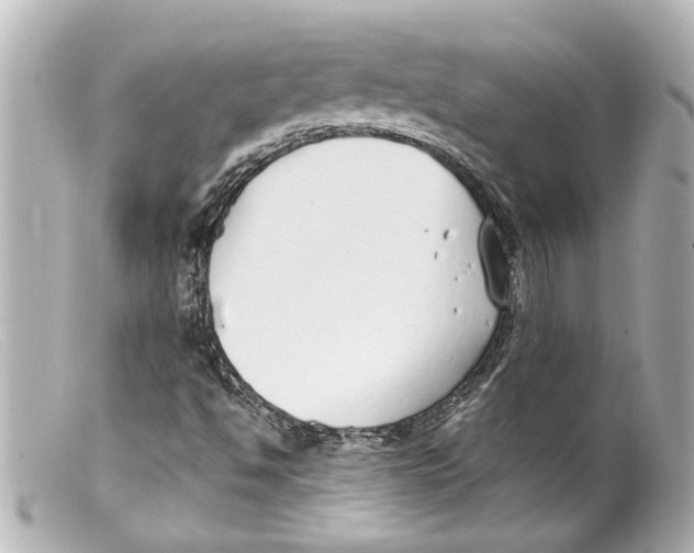 X0000099401494200805291159