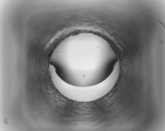 X0000099401495200805291159